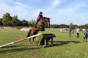 horsetrial2017au02